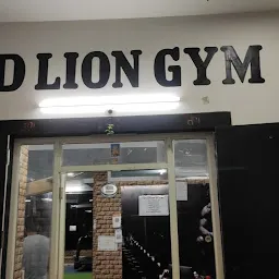 D LION GYM