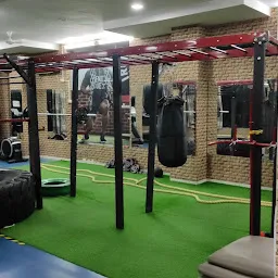 D LION GYM