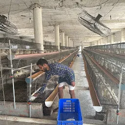 Dahiya poultry farm