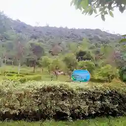 Daivivana, Forest Department,