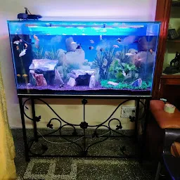 Daksh aquarium