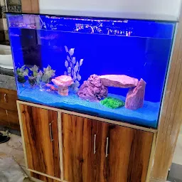Daksh aquarium