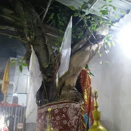 Dakshireshwari Kaali Mandir(Shani Mandir)