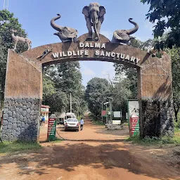 Dalma Wildlife Sanctuary Jamshedpur