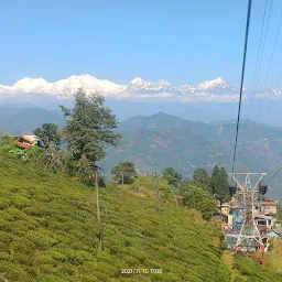 Darjeeling Rangeet Valley Passenger Ropeway