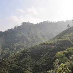 Darjeeling Rangeet Valley Passenger Ropeway