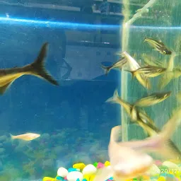 DAS AQUARIUM