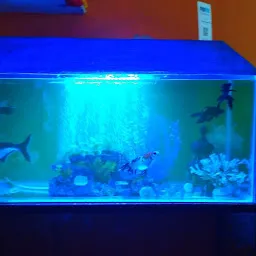 Dashmesh Aquariums