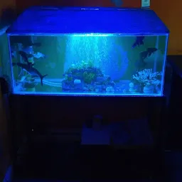 Dashmesh Aquariums