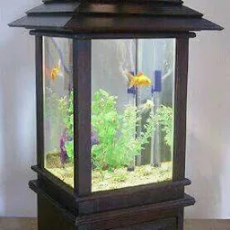 Dashmesh Aquariums