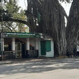 DawalShah wali sarkar Dargah