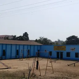 Dayanand Anglo Vedic Public School