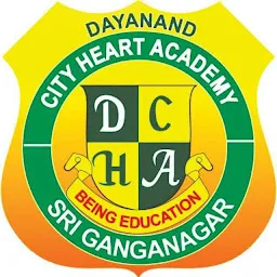 DAYANAND CITY HEART ACADEMY