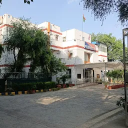 DCP Office