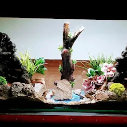 Decoreal Aquariums- Customised Aquariums, Maintenance Services