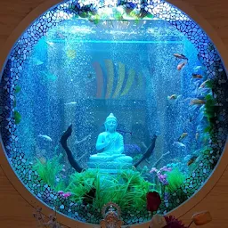 Decoreal Aquariums- Customised Aquariums, Maintenance Services