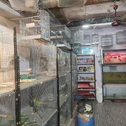 Delhi Chakla Bird Market