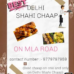 Delhi Shahi Chaap