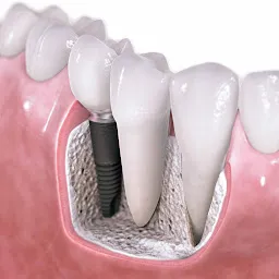 Dental Clinic - Dr. Kalpana Mishra