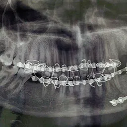 Dentist Dr Alok Kumar