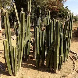 Desert Lead Botanical Garden