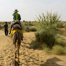Desert Safari Camping Jaisalmer