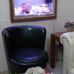 Designer Aquariums