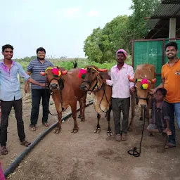 Devgiri Deshi Cow Milk & Products