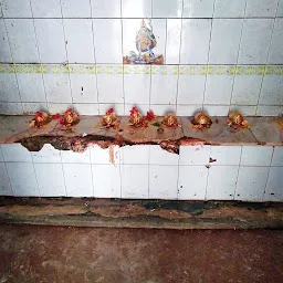 Devi Sthan Navratanpur