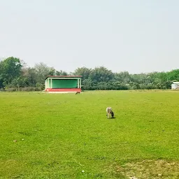 dhaligaon playground