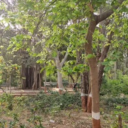 Dhanvantari Garden