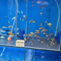 Dharampeth Aquarium and Pet Shop