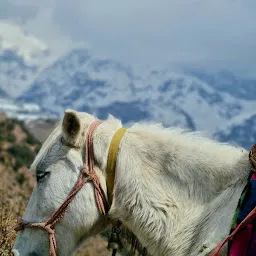 Dharamshala Local