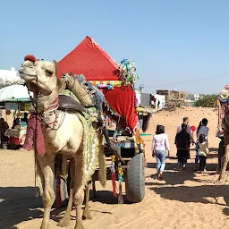 Dharma Camel Safari Pushkar