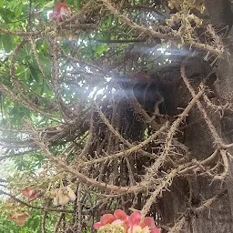 Dharmaraja Koil Temple