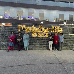 Dhauladhar Hills Resort&spa