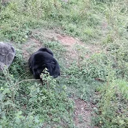 Dhauladhar Nature Park (Zoo), Gopalpur