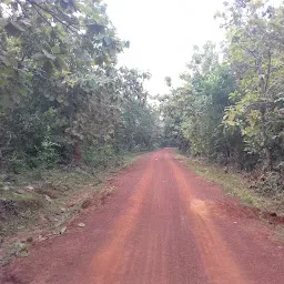 Dhenkanal Forest Range