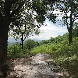 Dhirenpara Hill View