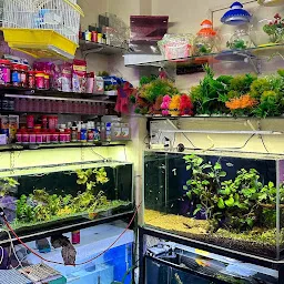 Pet hotsell aquarium store