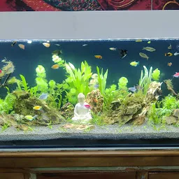 DhirSoni Aquarium & Pet Store