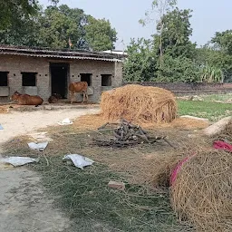 Dhodhwa, Ganga Ram Ji