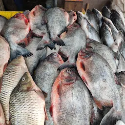 Dhulapally Fish World
