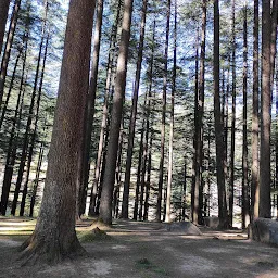 DHUNGRI VAN VIHAR ( Forest Park )