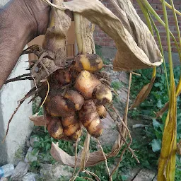 Dhyan Mandir Sumit Saini