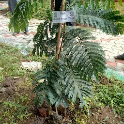 Dhyananjaneya temple