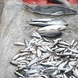 Diesel Colony Fish Market