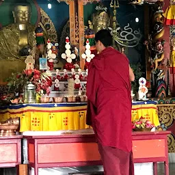Dikling Monastery, Dhophen Phelgyeling Monastery