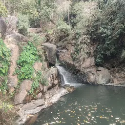 Dilwang Wari Fish Sanctuary