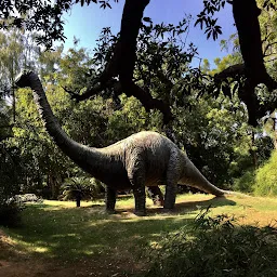 Dinosaur And Fossil Park Gandhinagar